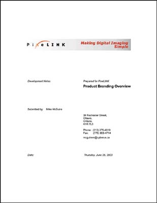 090-Pixelink-Branding-Report